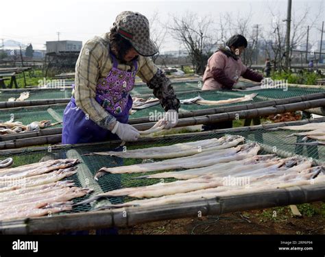 舟山市有什麼特產：海洋貴地之獨特美食與手工艺品